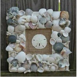 Handcrafted Seashell Frame