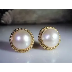 Real Seashell Earrings
